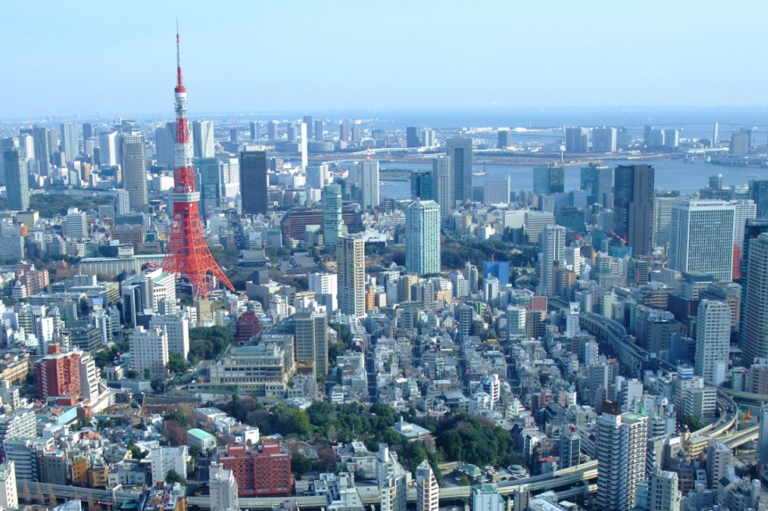 大手不動産情報ポータルサイト-テクニカルSEOによりエリア系×賃貸・一戸建て・賃貸事務所の順位上昇